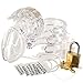 Chastity Device for Men, Chastity Cages, Cock Cage with Chastity Lock and Key, Transparent, 6000S