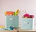 DII Non Woven Polyester Storage Bin, Aqua, Small Set of 2