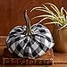 Your Heart's Content Black Buffalo Plaid 6.25 inch Velvet Pumpkin, Modern Rustic Mantle Decor, Entryway Decor, Farmhouse Cozy Home Decor, Table Centerpiece (Buffalo Plaid)