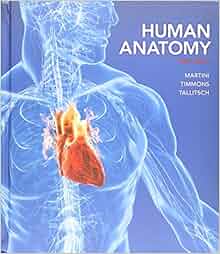 Amazon Com Human Anatomy Study Card Study Systems