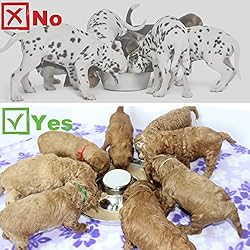 Podinor Stainless Steel Puppy Dog Bowls, Pets