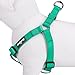 Blueberry Pet Essentials Step-in Dog Harness, Medium Size | Adjustable Emerald Vest | Classic Solid Nylon for Boy & Girl Dogs, Chest Girth 20