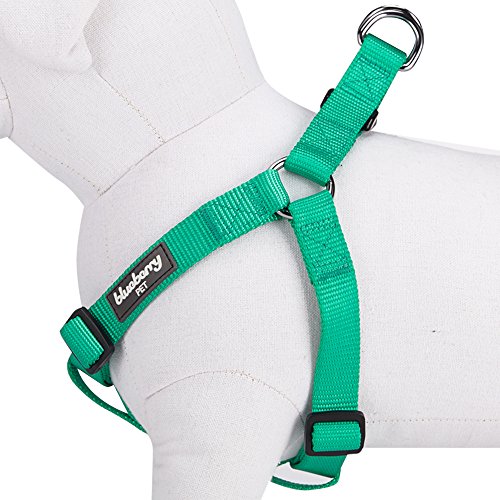 Blueberry Pet 12 Colors Step-in Classic Dog Harness, Chest Girth 20" - 26", Emerald, Medium, Adjustable Harnesses for Dogs