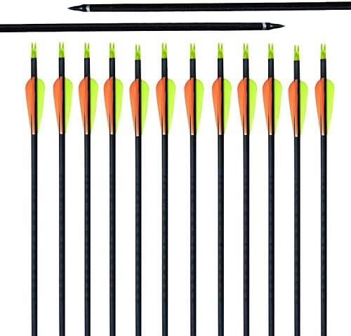 Albertu 30'' 12Pcs Fiberglass Target Arrows with Changeable Screw-In Practice Point