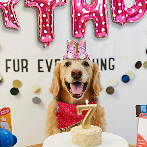 Suzzam 1 Birthday Hat, First Birthday Crown Baby Girl Princess Dog Birthday Hat Pets Reusable Birthday Party Hats Cat Kitten Headband Hats 1-5 Figures - Thumbnail 5