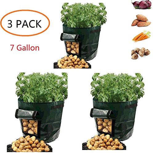 Best Grow Bags Buying Guide GistGear