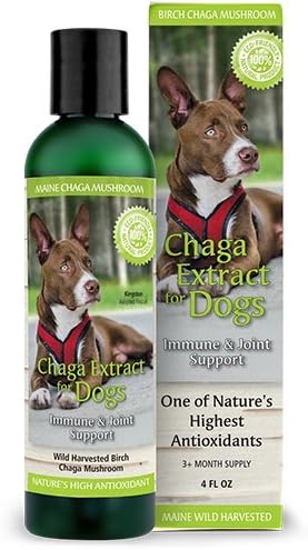 Chaga Extract for Dogs, Maine Chaga Mushroom, Not Imported, Nature's antioxidant for Your Dog