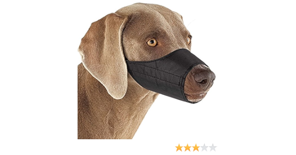 guardian gear muzzle