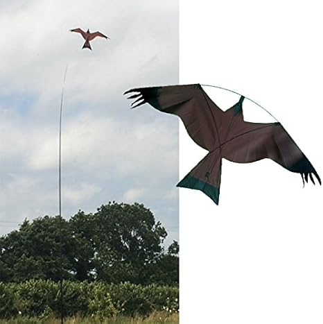 Brown Hawk Kite Bird Scarer 6m Telescopic Flag Pole Free Line Rig Amazon Co Uk Garden Outdoors