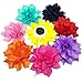 PET SHOW Dog Charms Flower Collar Embellishment Accessories For Cat Puppy Collars Dogs Bowtie Grooming Pack of 8