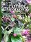 Livro Amlec Chuvstvennyy 2