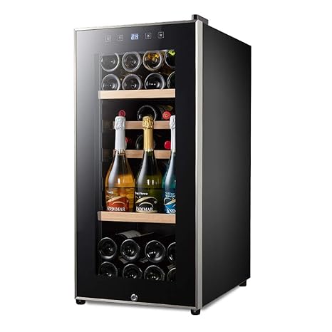 HUATINGRHHO Silencioso Nevera para Vinos con Compresor, Enfriador ...
