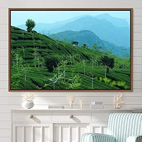 signwin Framed Canvas Wall Art Greenlands Aerial Dark...