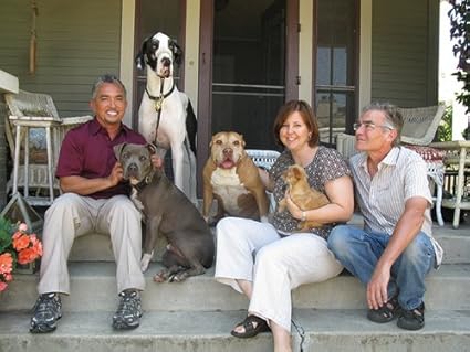 Der Hundeflusterer Staffel 2 Movies Tv Amazon Com