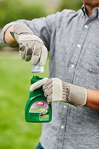 2 Ortho+Chickweed+Clover+Concentrate+16+Ounce