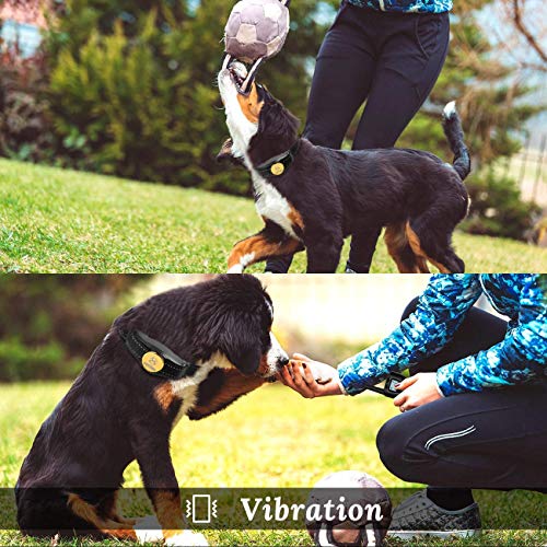 Peteme Dog Training Shock Collar Rechargeable with Beep/Vibra/Electric