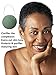 Green Tea Konjac Sponge 3pk Medium - 100% Natural - Antioxidant, Anti Aging - For Dry & Mature Skin, Rosacea, Psoriasis and Eczema - New Leaf Products