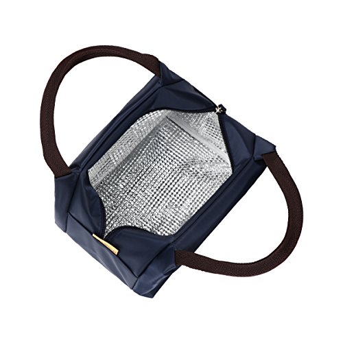Philorn Reusable Insulated Lunch Bag Sturdy Oxford Box Tote with Zipper for Men, Women, Adult, Picnic and Work (Dark Blue)