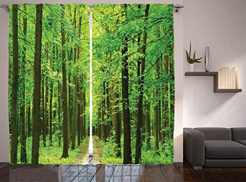 Ambesonne Farm House Decor Collection, Path in Forest Along Trees Foliage Woodland Landscape Picture Print, Living Room Bedroom Curtain 2 Panels Set, 108 X 84 Inches, Dark Olive Green