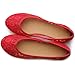 Ollio Women's Ballet Shoe Floral Lace Breathable Flat