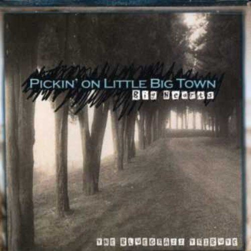 Pickin On Little Big Town: The Bluegrass Tribute