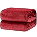 Bedsure Fleece Blanket Twin Size Red - 300GSM Lightweight Plush Fuzzy Cozy Soft Warm Blanket for Bed, Sofa, Couch, Travel, Camping, 60x80 inches