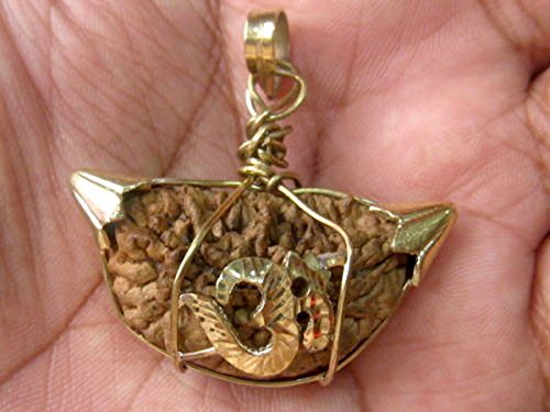 One Mukhi Face Rudraksha Rudraksh Kaju Dana Hindu Pooja