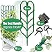 PeerBasics Indoor Plant Trellis Parent (6 Bundle)