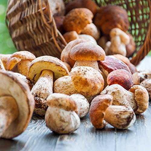 Whole Porcini Italian Mushrooms Frozen - 2.2 lbs.