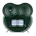Anpro Humane Animal Repellent with Motion Activated LED Light and Ultra-Sonic Deterrent for Cats/Dogs/Squirrels/Deer/Raccoons/Skunks/Rats/Home and Garden Protection