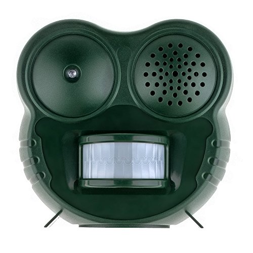 Anpro Humane Animal Repellent with Motion Activated LED Light and Ultra-Sonic Deterrent for Cats/Dogs/Squirrels/Deer/Raccoons/Skunks/Rats/Home and Garden Protection Anpro Humane Animal Repellent with Motion Activated LED Light and Ultra-Sonic Deterrent for Cats/Dogs/Squirrels/Deer/Raccoons/Skunks/Rats/Home and Garden Protection