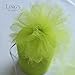 Ling's moment Apple Green 6 Inch x 100 Yards Tulle Roll Spool Fabric Table Runner Chair Sash Bow Tutu Skirt Sewing Crafting Fabric Wedding Party Gift Ribbon