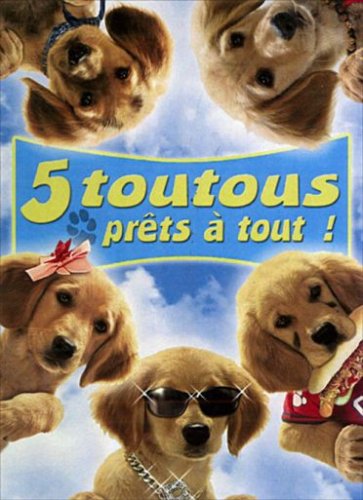 5 Toutous Prêts À Tout !