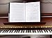 WOGOD Music Sheet File Paper Documents Storage 2 Pack Folder Holder Plastic.A4 Size,40 Pockets