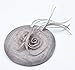 Womens Sinamay Fascinator Hat on Clip with Feather D-Grey