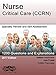Nurse Critical Care (CCRN): Specialty Review and Self-Assessment (StatPearls Review Series Book 360)