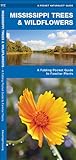Mississippi Trees & Wildflowers: A Folding Pocket Guide to Familiar Species (Pocket Naturalist Guide Series)