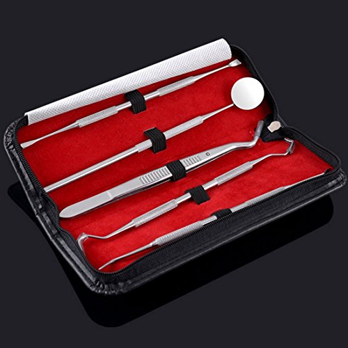 Stainless Steel Dentistry Tools Oral Care Set Probes Mirror Scraper Kit 5Pcs