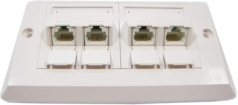BeMatik - Placa de pared de 140x80 de 4 RJ45 Cat.6 UTP: Amazon.es: Informática