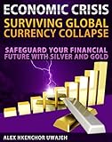 Economic Crisis: Surviving Global Currency  Collapse - Safeguard Your Financial Future with Silver and Gold