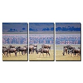 3 Piece Canvas Wall Art - Wildbeest Migration - Modern Home Art Stretched and Framed Ready to Hang - 16"x24"x3 Panels