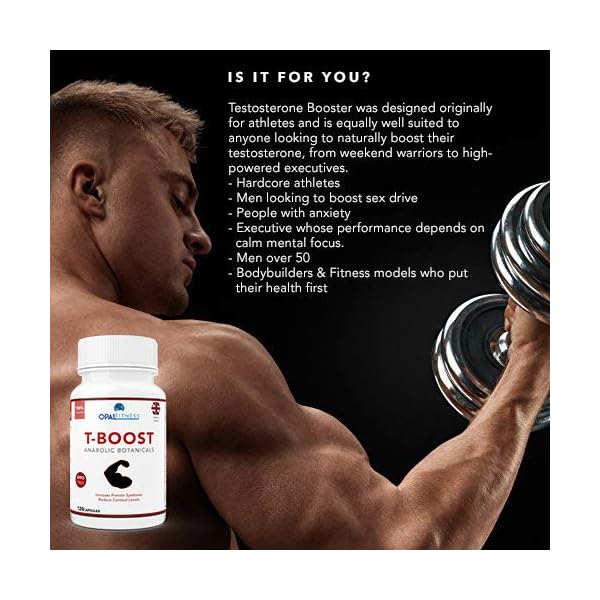 Testosterone-And-Libido-Booster-For-Men-By-Opal-Fitness-Anabolic-Male-Enhancing-Capsules-With-Maca-Root-Gingko-Biloba-Korean-Ginseng-Reduce-Stress-Cortisol-Produced-In-The-UK-120-Capsules Testosterone And Libido Booster For Men By Opal Fitness - Anabolic Male Enhancing Vegan Capsules With Maca Root, Ginkgo…