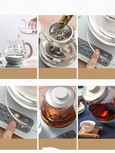 WSJTT Multi-Use bollitore elettrico in vetro borosilicato tè e caffè e di base di controllo programmabile Pannello… - immagine 6