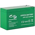 12V 7Ah lithium Battery, 12volt LiFePO4 Battery Deep Cycle Iron Battery, Built-in BMS, 5000+ Cycles Rechargeable Battery Perfect for Solar Power System, Kids Scooters, Fish Finder, Toys (7Ah)