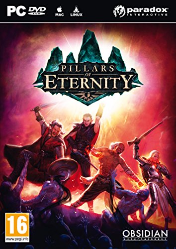 Focus Pillars Of Eternity - Édition Hero