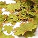 Lulonpon Leaves, Artificial Maple Leaves,300pcs Fall Silk Maple Leaves for Thanksgiving, Weddings, Autumn Party,Events and Decorating Hardwork