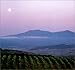 Hugh Johnson's Tuscany and Its Wine