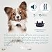 GoodBoy Mini Remote Collar for Dogs with Beep and Vibration Modes for Pet Behaviour Training – Waterproof & 1000 Feet Range – Suitable for Extra Small to Medium Dogs (5-15 lbs)thumb 2