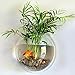 Sweetsea Hanging Wall Mounted 1 Gallon Fish Tank Bowl Aquarium Wall Decor Plant Fish Bubble - Clear (Large)
