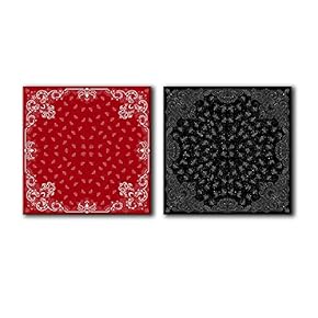 2 Panel Square Canvas Wall Art - Abstract Floral Patterns in Red and Black - Giclee Print Gallery Wrap Modern Home Art Ready to Hang - 12"x12" x 2 Panels